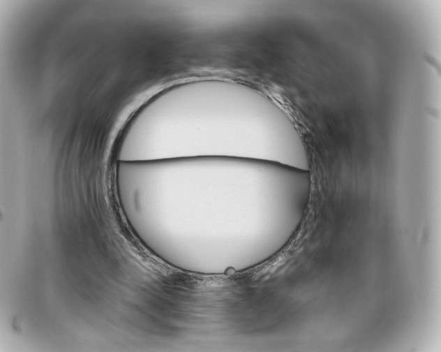 X0000096400342200801241008