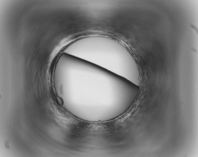 X0000096400343200801241008