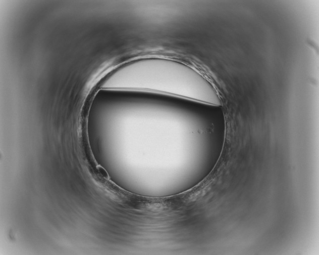 X0000096400344200801241008