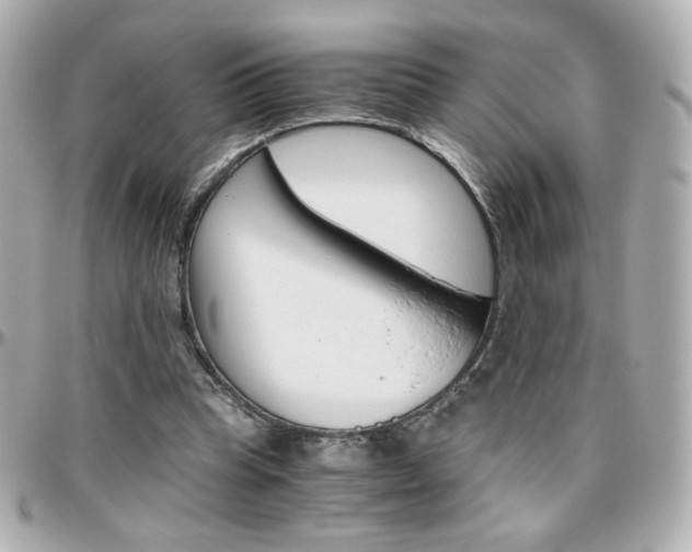 X0000096400345200801241008