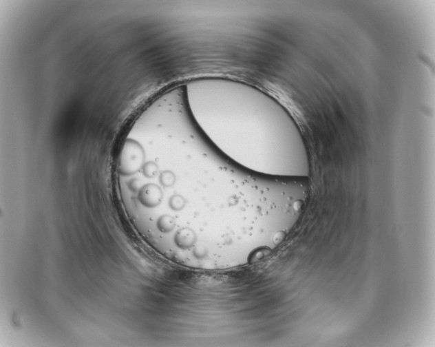 X0000096400346200801241008