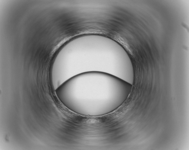 X0000096400348200801241008