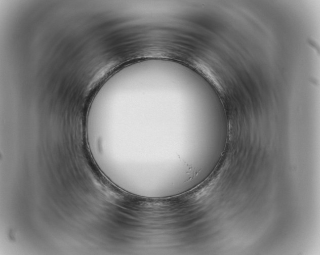 X0000096400349200801241008