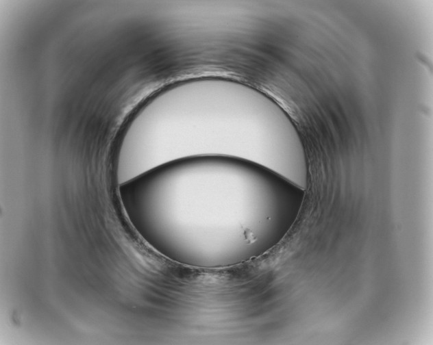 X0000096400350200801241008