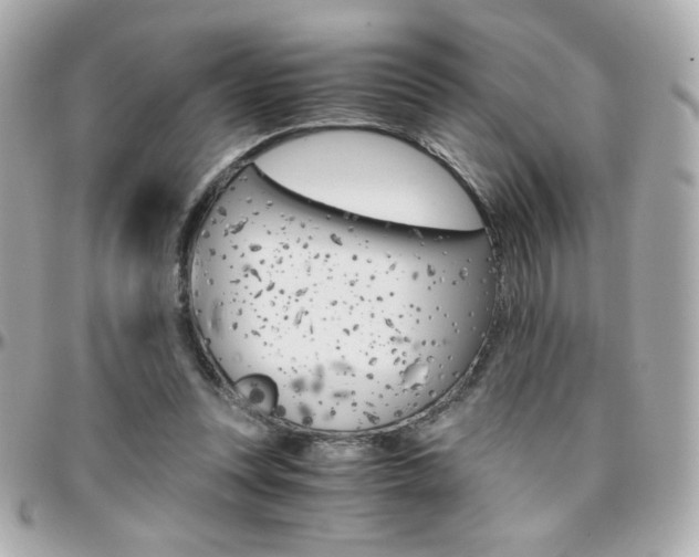 X0000096400351200801241008