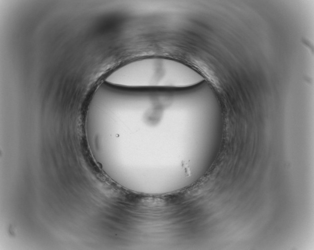 X0000096400354200801241008