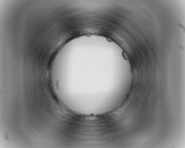 X0000096400355200801241008