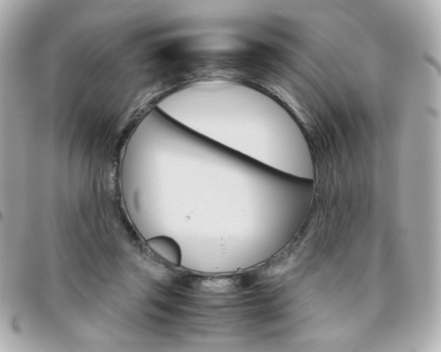 X0000096400357200801241008