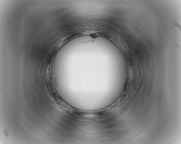 X0000096400360200801241008