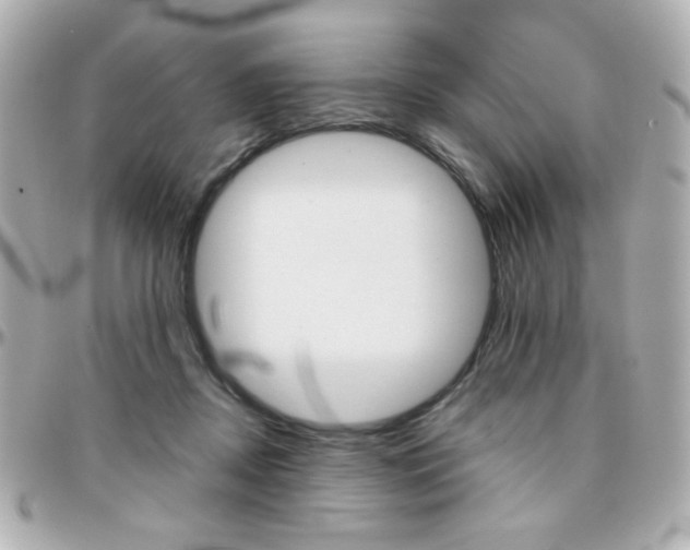 X0000096400362200801241008