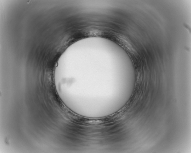 X0000096400363200801241009