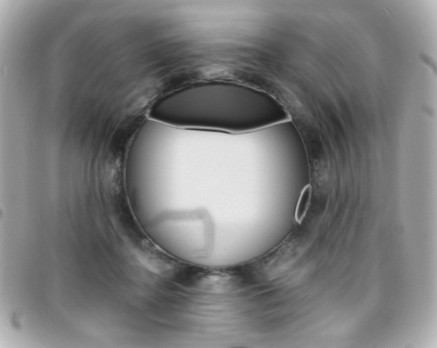 X0000096400364200801241009