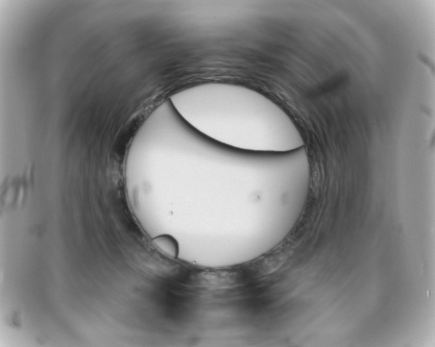 X0000096400367200801241009