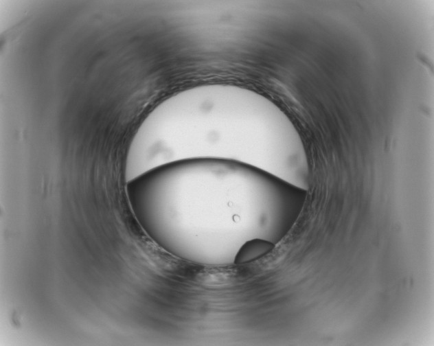 X0000096400368200801241009