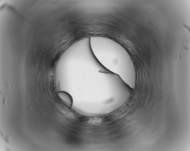 X0000096400369200801241009