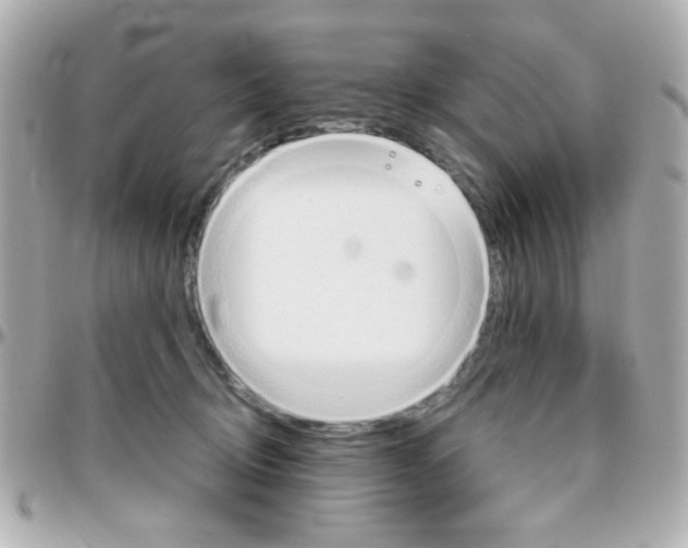 X0000096400370200801241009