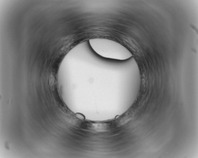 X0000096400371200801241009