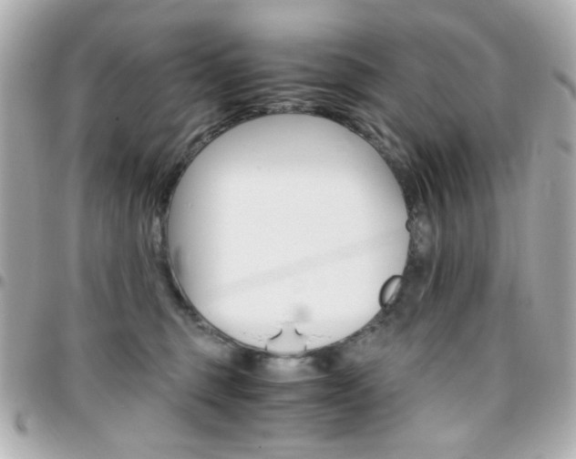 X0000096400375200801241009