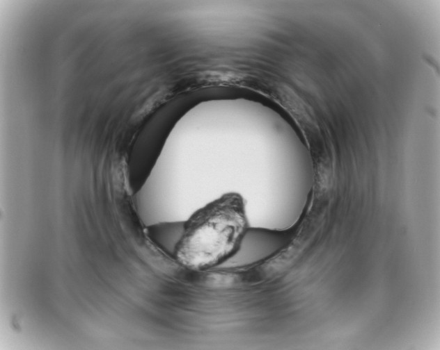 X0000096400376200801241009