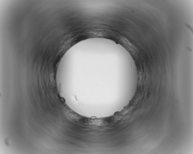 X0000096400377200801241009