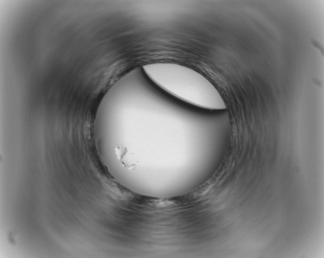 X0000096400379200801241009