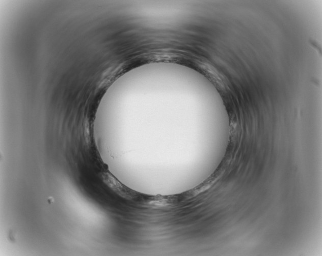 X0000096400381200801241009