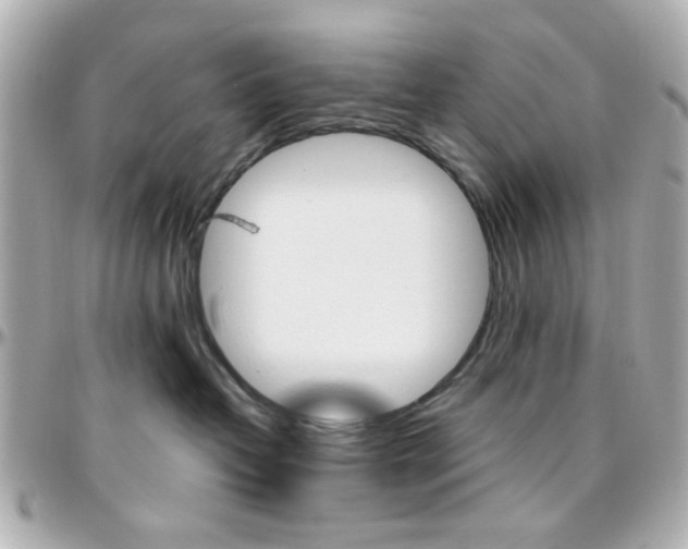 X0000096400382200801241009