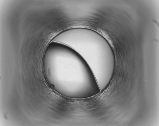 X0000096400385200801241008