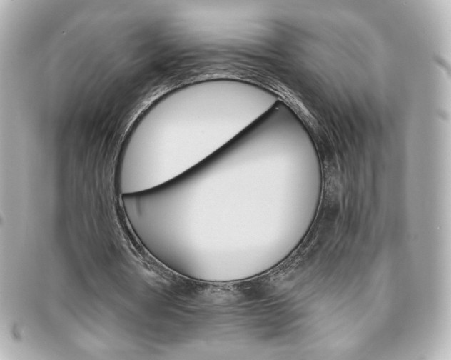 X0000096400386200801241008