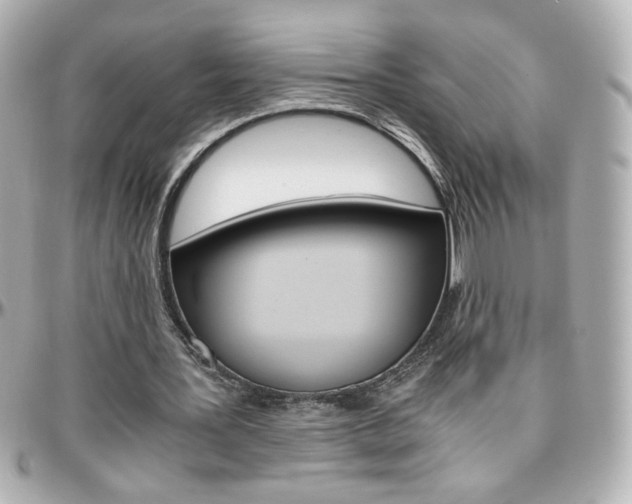 X0000096400387200801241008