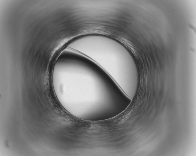 X0000096400388200801241008