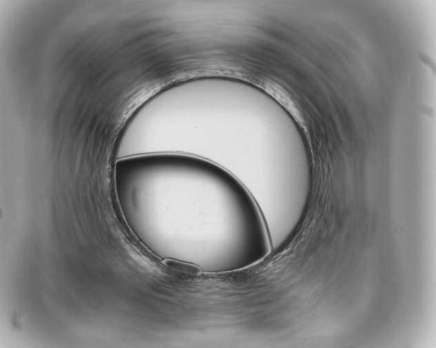 X0000096400389200801241008