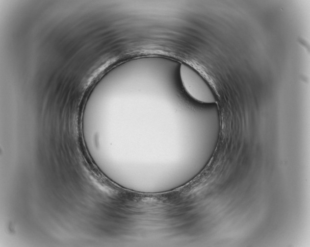 X0000096400390200801241008