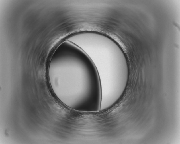 X0000096400391200801241008