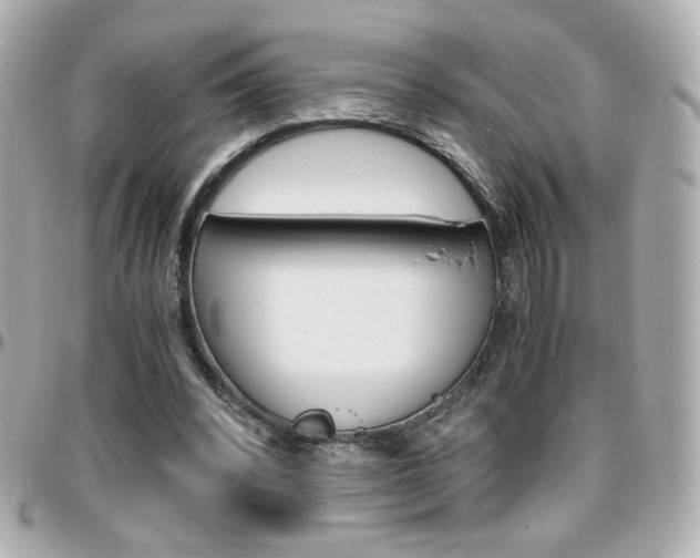 X0000096400392200801241008