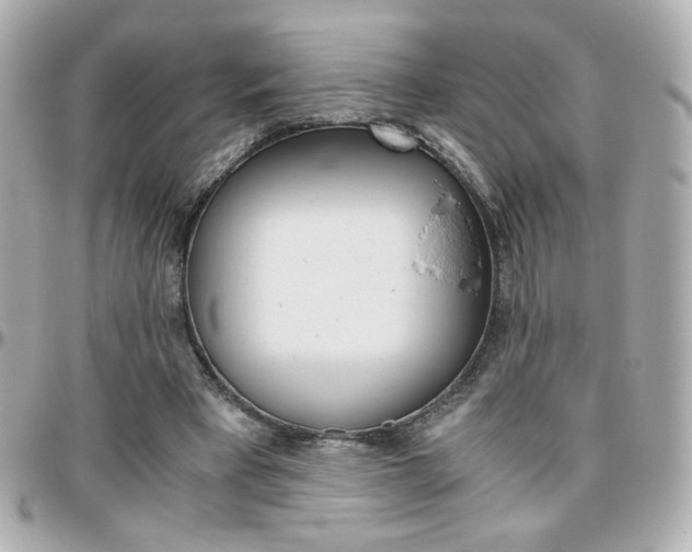 X0000096400393200801241008