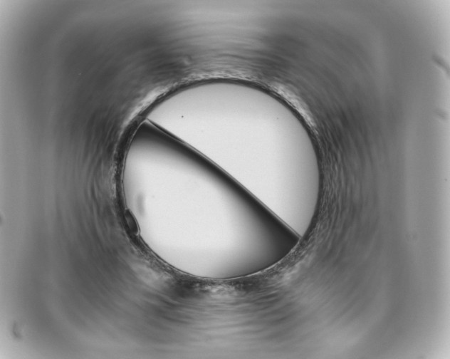 X0000096400395200801241008