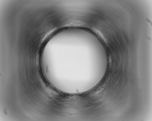 X0000096400396200801241008