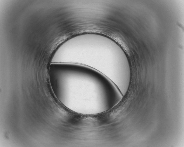 X0000096400397200801241008