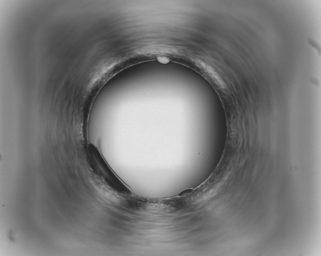 X0000096400399200801241008