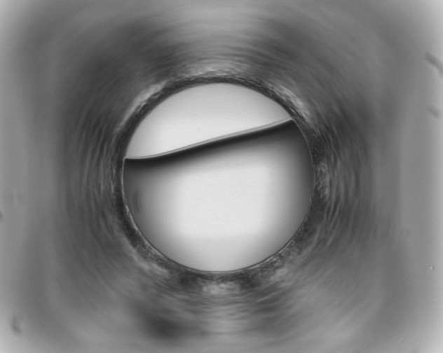 X0000096400400200801241008