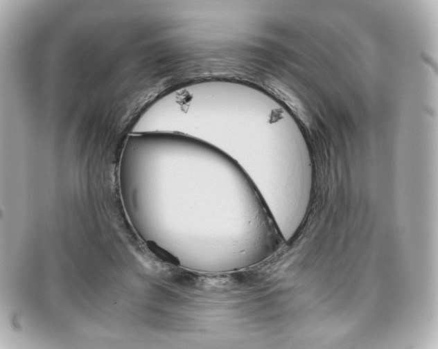 X0000096400401200801241008