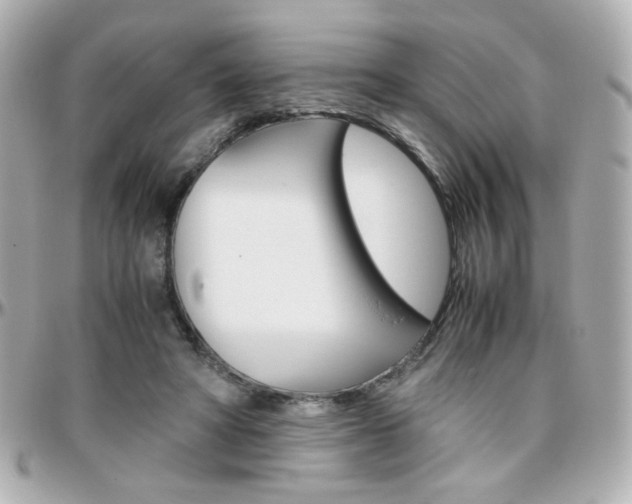 X0000096400402200801241008