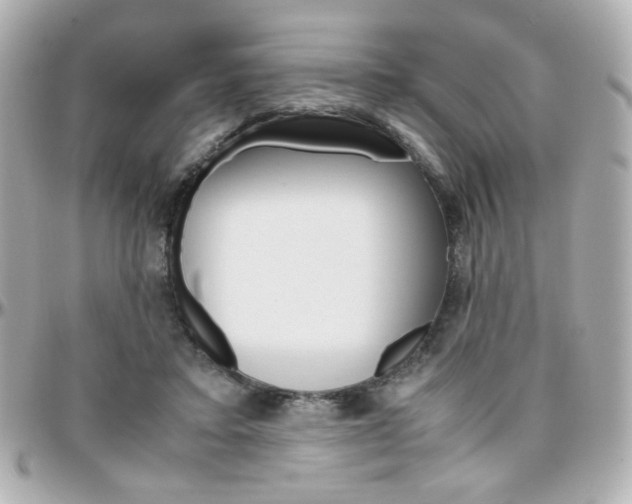 X0000096400403200801241008