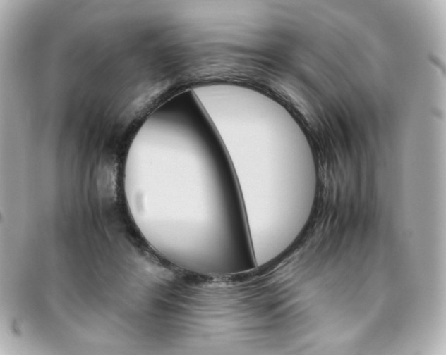 X0000096400404200801241008