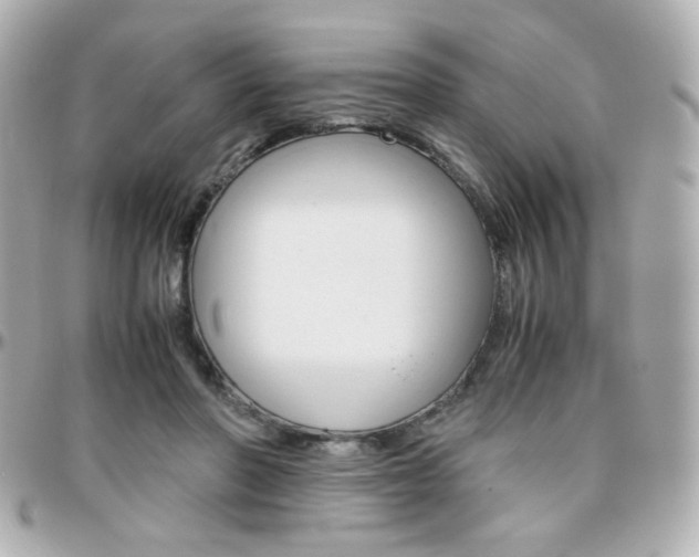 X0000096400406200801241008