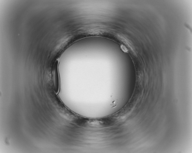 X0000096400407200801241008