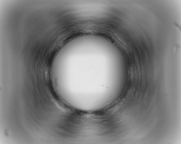 X0000096400408200801241008