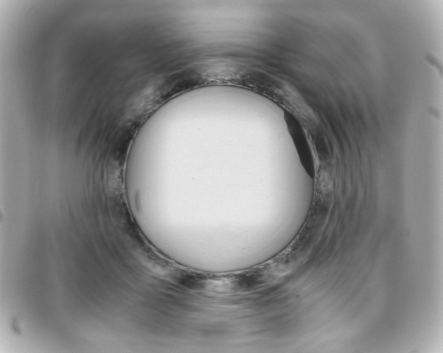 X0000096400411200801241008