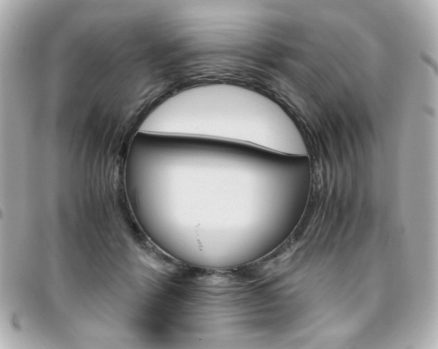 X0000096400412200801241008
